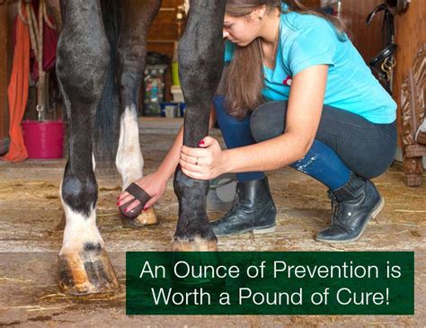 The impact of the magic cushion barefoot horse pad on overall horse performance